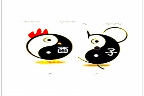 女鼠和男鸡属相合不合 女鼠和男鸡属相能配夫妻吗