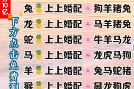 马女和男狗属相合不合 马女和男狗相配婚姻如何