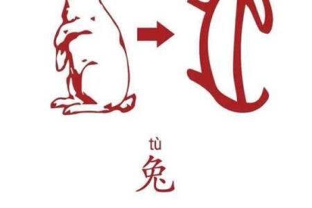 请问嫌肥挑瘦所代表的生肖动物及其寓意解析是什么？