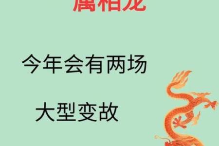 龙女最不合的四个属相 属龙女命中注定的丈夫