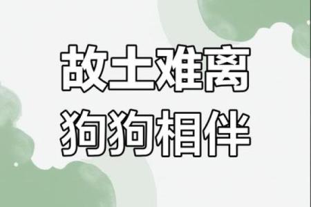 乡土难离是指什么生肖 → 狗‌（狗恋旧主，故土难离）