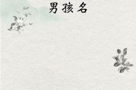 明眸皓齿开过什么生肖(明眸皓齿猜生肖)