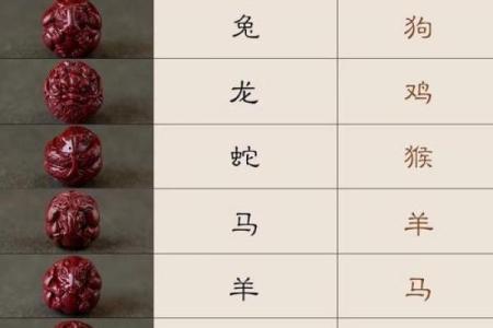 哪些属相不能带朱砂 什么属相不能佩戴朱砂石