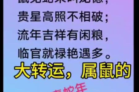 72年出生属鼠者2025年每月运程预测，需要注意哪些方面