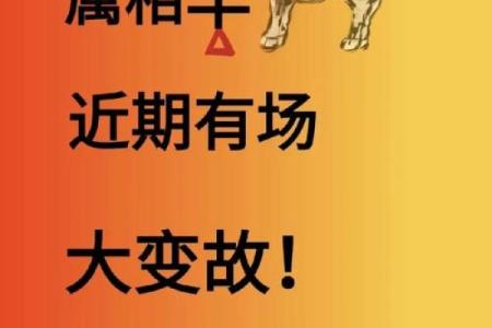 03年属羊人的正缘在哪一年 03年属羊人的正缘在哪一年结婚