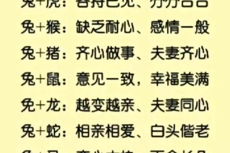 鼠和兔子属相婚配如何 鼠和兔的属相能婚配吗