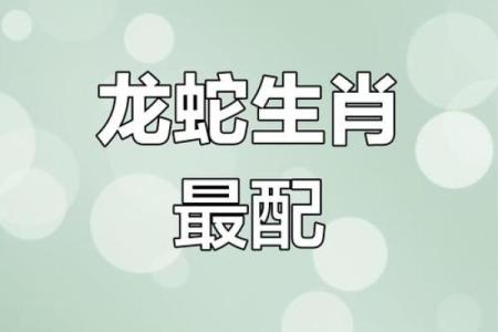 2001年属龙女什么时候结婚好,2001年属蛇最佳结婚时间