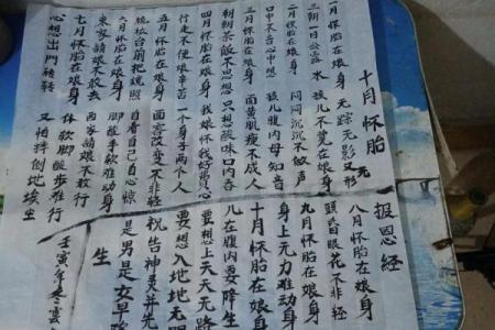民间谜语十月怀胎”所代表的生肖是什么？求详细的文化由来和解释