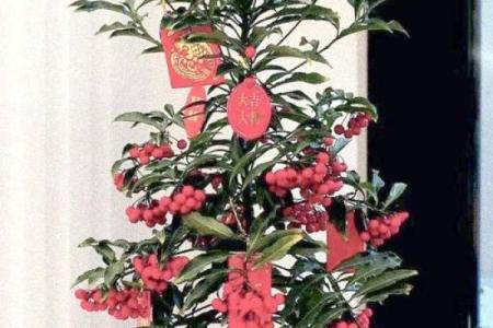 财神爷前边能放东西吗 财神爷前放什么花好