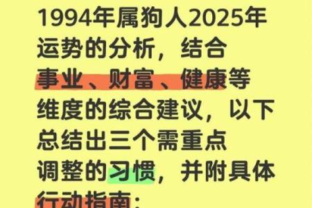 1982年属狗的人2025年运势详解，事业财运健康感情全面解析