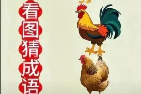 满面红光打一生肖是什么，着个成语代表哪个动物？