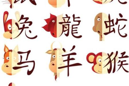 班门弄斧是什么生肖(班门弄斧是什么生肖狗)