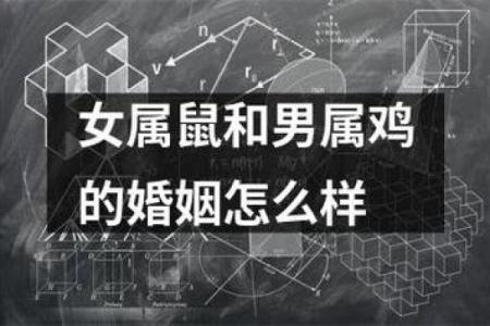 1972年属鼠男出轨后是否会对情人付出真感情和长期投入