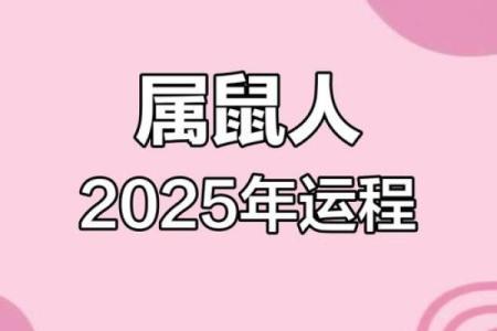 1984年出生的鼠2025年事业财运如何破解太岁