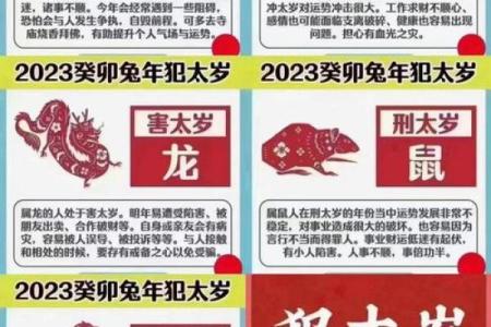 如何从生肖角度分析一个身份不明之人的潜在属相特征