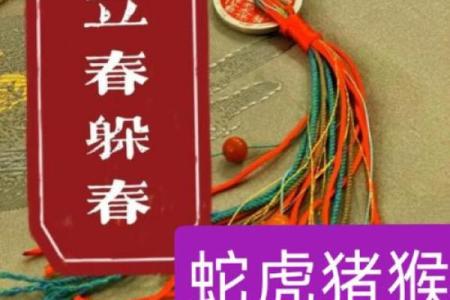 揭秘五花大绑的成语典故及其所指的真实生肖动物答案