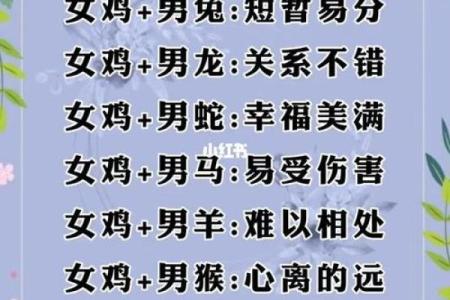 1994年属相最佳婚配 1994年婚姻最配属相
