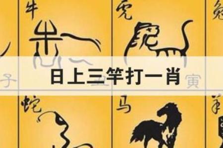 秀才勤读登龙门打一生肖动物谜底是什么答案