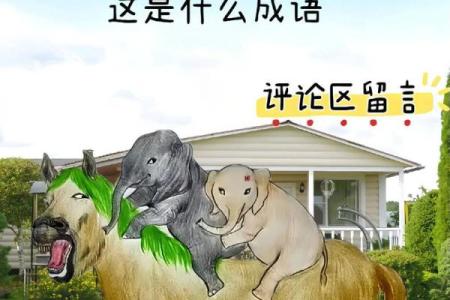 贼走关门指的是哪个生肖，着个成语背后有什么故事？