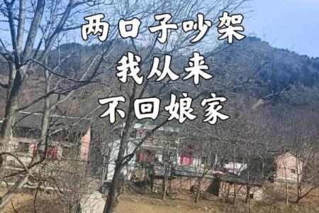 个娘家我回定了 个娘家我回定了1到100集