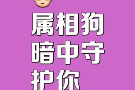 不法之徒打一个生肖(不法之徒打一动物)