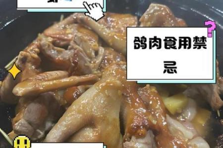 信鸽能吃吗会不会不吉利 信鸽能吃什么食物