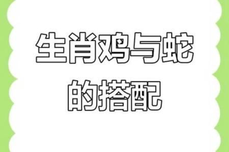 77年女蛇最佳婚配属相 77年蛇女与什么属相男相配吗