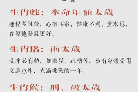 属狗的人2025年全年运势详解，每月运程完整版分析