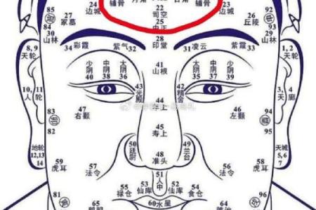 倒眉毛属于什么面相 倒眉毛属于什么面相啊