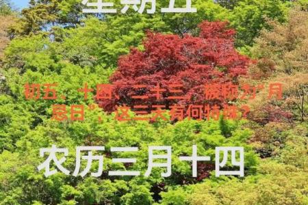 月忌日是哪天 月忌日哪天最凶