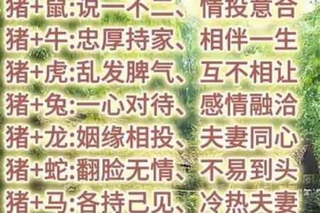83女最佳婚配属相 83的婚姻配属什么最好