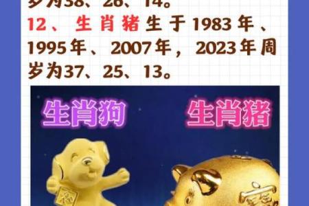 春风中有三五码准确生肖(春风中有三五码生肖什么意思)