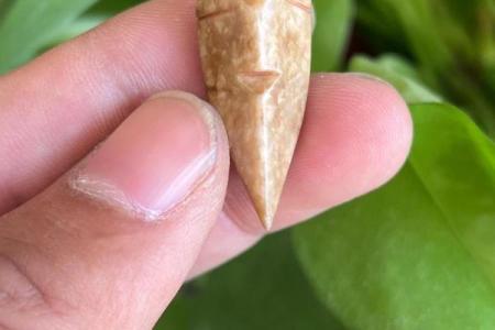 佩戴玉蝉是不是不吉利 佩戴玉蝉不吉利吗