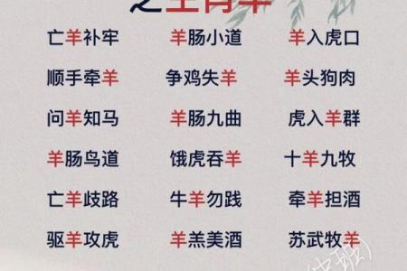 花好月圆成语所指的生肖是哪一个？完整答案揭晓
