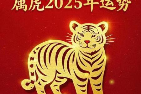 ‌2022年属什么生肖 → 虎（2022壬寅，黑虎当值）‌