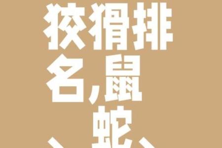 ‌刀枪不入打一准确生肖 → 牛（牛皮厚，刀枪不入）‌