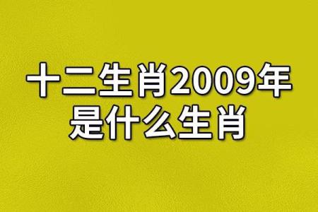 海说神聊是什么生肖