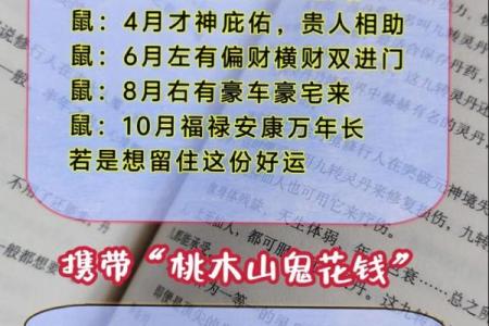 1996年2月出生生肖属猪还是属鼠，具体分界日期是哪一天？