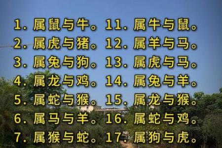 夫妻生肖配对最佳 夫妻生肖配对最佳还是时辰最佳