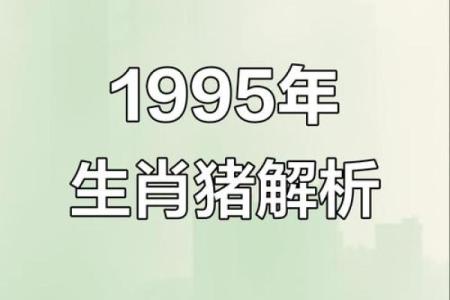 1995年属猪女的最佳配偶属相 1995年属猪女最佳配偶属相是哪些