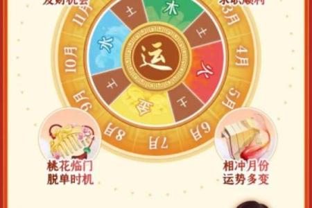 麦玲玲2013年生肖运程