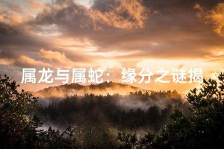属龙和属蛇的婚配合适吗 属龙和属蛇的婚配合适吗