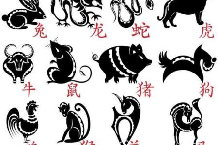 属蛇和属兔的合不合 属蛇和属兔的合不合