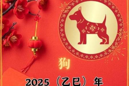 1982年属狗2025年运势详解及每月运程完整版，事业财运健康全解析