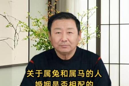 属马和什么属相最配对 生肖马和生肖兔相配吗