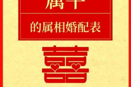 2002年属什么生肖的最佳配偶 1995年属什么生肖配对最好
