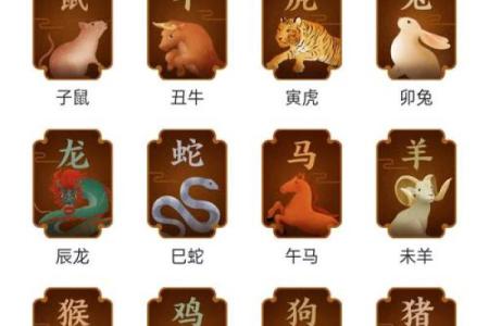 一步登天是什么生肖(一步登天是什么生肖动物360问答)
