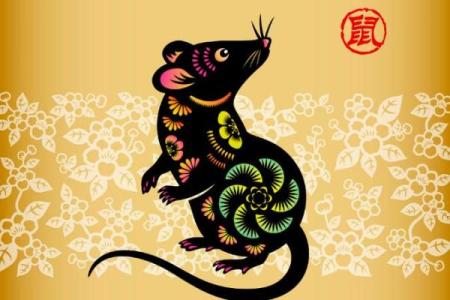 1972年出生的属鼠人三大劫难分别发生在多少岁？