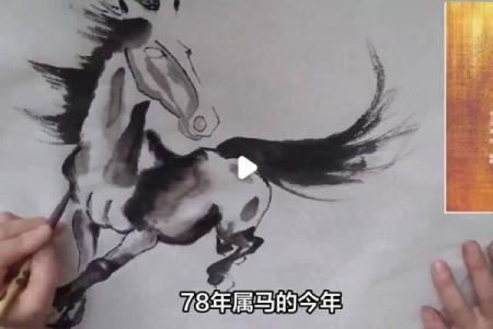 78年属马男人哪一年运气好 78年属马男人运势如何