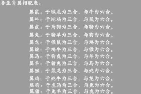 义结金兰指的是哪几个生肖，它们之间有什么讲究？
